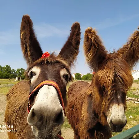 Appartamento Casa Vitral - Stained Glass House