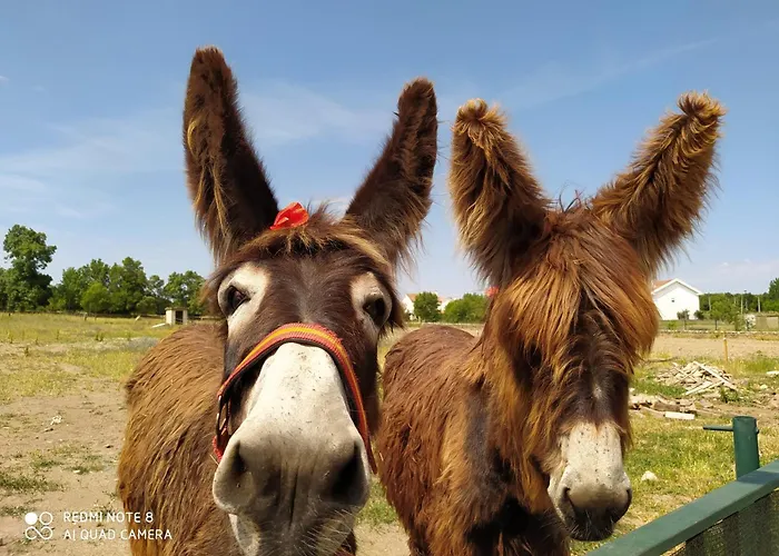 Apartment Casa Vitral - Stained Glass House
